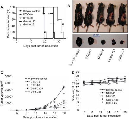 Figure 1. (A) Survival curves of melanoma-bearing mice in different treatment groups. The median survival times of mice in the (1) solvent control; (2) DTIC (40 mg/kg) (DTIC-40); (3) DTIC (80 mg/kg) (DTIC-80); (4) gold-1a (0.125 mg/kg) (Gold-0.125) and (5) gold-1a (0.25 mg/kg) (Gold-0.25) groups were 20 days, 20 days, 26 days, 26 days and 32 days after tumor inoculation respectively. *p < 0.05, compared to solvent control and DTIC-40 groups. #p < 0.05, compared to all other four groups. (B) Morphologies of melanoma-bearing mice and sizes of the tumors in different experimental groups. (C) A plot of tumor volume versus the number of days post tumor inoculation of melanoma-bearing mice in different groups. *p < 0.05, compared to solvent control and DTIC-40 groups. Data were shown as mean ± SEM from five mice in each group. (D) A plot of body weight versus the number of days post tumor inoculation of mice in different groups. There was no significant difference in the body weights of mice in different groups. Data were shown as mean ± SEM from five mice in each group.