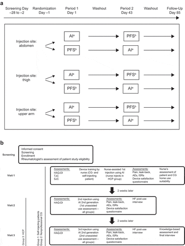 Figure 1. Study design. (a) Bioequivalence. (b) Real-life human factors study. AE, adverse event; AI, autoinjector; CG, caregiver; gen, generation; HAQ-DI, Health Assessment Questionnaire–Disability Index; HCP, health care professional; HF, human factors; ISR, injection site reaction; PFS, prefilled syringe; SC, subcutaneous; SJC, swollen joint count; TJC, tender joint count. a,bTocilizumab 162 mg/0.9 mL SC using AI or PFS.