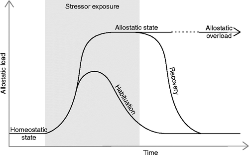 Figure 3.  A schematic representation of the relationship between homeostatic and allostatic states. Allostatic load is the relative cost of the physiological responses to stress, such as HPA-axis activation (McEwen Citation1998; McEwen and Wingfield 2003). Prior to stressor exposure, homeostatic functioning is at a low allostatic load and eCB signaling helps maintain homeostasis by counteracting HPA-axis activation (Patel et al. Citation2004; Steiner and Wotjak Citation2008; Hill et al. Citation2009b; Ginsberg et al. Citation2010). During some stress protocols habituation-like processes may occur, which effectively reduce allostatic load and help reinstate homeostatic functioning. The eCB system evidently plays a key role in stress-induced habituation-like processes (Patel et al. Citation2005; Patel and Hillard Citation2008; Hill et al. Citation2010b). In cases where habituation does not occur, a relatively high incurred allostatic load may result in the development of an allostatic state. Several studies have investigated the role of eCB signaling in stress protocols in which habituation does not occur (Martin et al. Citation2002; Hill and Gorzalka Citation2004; Hill et al. Citation2005; Bortolato et al. 2007). Upon stressor termination, allostatic states may prevail leading to allostatic overload and conditions of chronic stress such as burnout, anxiety, and depression in humans. Evidence indicates that upregulation of eCB signaling may help prevent depression-like symptoms in animal models (Hill and Gorzalka Citation2005; Bambico and Gobbi Citation2008; Gorzalka et al. Citation2008; Hill et al. Citation2009a), but its role in the stress-induced development of these states is unclear. Recovery processes from allostatic states may occur to reduce allostatic load and reinstate homeostatic functioning. It has yet to be investigated what role eCB signaling may play in these recovery processes.