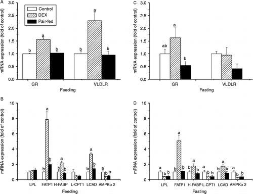 Figure 5.  Effect of vehicle (control), dexamethasone (DEX, daily subcutaneous injection of 2 mg/kg body weight for 3 days) or vehicle and pair-feeding (pair-fed) on mRNA expression in PM. mRNAs from broiler chickens during feeding (A,B) and fasting (C,D). Values are means ± SE (n = 8). Different superscripts (a,b) indicate significant differences (P < 0.05) in the means, by ANOVA and Duncan's multiple test.