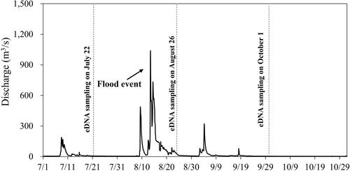 Figure 2. River discharge changes at the Yoshida water level observatory in the Gonokawa River in Japan in July–October 2021.