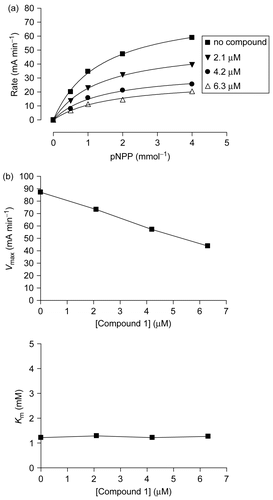 Figure 3.  Non-competitive inhibitor of PTP1B. (a) Substrate titration reveals that compound 1 is a classical non-competitive inhibitor that inhibits substrate catalysis (Vmax), but not substrate binding (constant Km). (b) Plots of Vmax and Km as a function of concentration of compound 1. Values were derived from nonlinear regression analysis in (a).