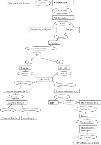 Figure 1. A student's concept map of the relationship between leukoplakia and HIV infection.