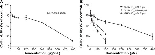Figure 2 Effect of Schisandra chinensis extract, SchA, and SchB on the viability of human hepatocellular liver carcinoma cell line cells. Human hepatocellular liver carcinoma cell line cells were treated with S. chinensis extract at 15–480 µg/mL (A), SchA at 3.125–100 µM, and SchB at 12.5–400 µM for 24 hours. The effect of tBHQ, a known nuclear factor (erythroid-derived 2)-like 2 activator, at 3.125–100 µM on cell viability, was also examined (B). Cell viability was evaluated by 3-(4,5-dimethylthiazol-2-yl)-2,5-diphenyltetrazolium bromide assay. The data shown are the mean ± standard deviation of at least three independent experiments.