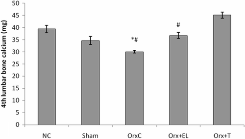 Figure 4.  Mean 4th lumbar bone calcium for all the groups. Data presented as mean ± SD (p < 0.01). *Significant difference compared to NC group. #Significant difference compared to Orx + T group. NC: normal control group; Sham: sham-operated; OrxC: orchidectomised-control; Orx + El: orchidectomised and supplemented with EL; Orx + T: orchidectomised and given testosterone replacement.