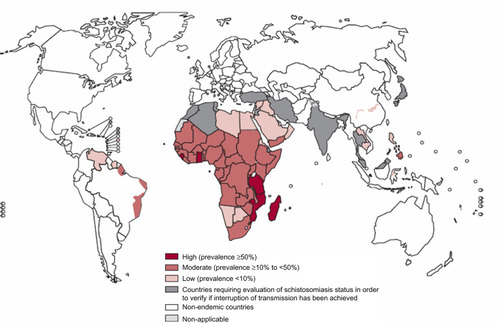 Figure 1 Worldwide geographical distribution of schistosomiasis in 2010.