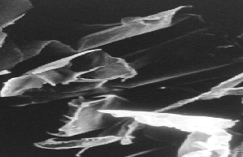 Figure 6. SEM image of efavirenz freeze- dried nanosuspensions.