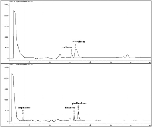 Figure 3. HPLC/DAD R. nigrum bud-preparation terpenic profile.