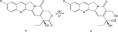 Figure 1.  Chemical equilibrium reaction between the lactone (a) and carboxylate (b) forms of CPTs (R=H, CPT; R=OH, HCPT).