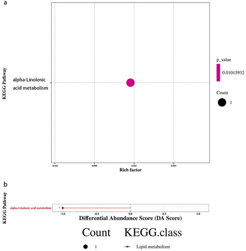 Figure 7. KEGG enrichment and differential abundance score for group asthma vs. control. (a) KEGG Enrichment for group asthma vs. control. The x-axis represents the Rich Factor, and the y-axis represents the KEGG metabolic pathway name. The color indicates the size of the p value, and the smaller the p value, the redder the color. (b) Differential Abundance Score for group asthma vs. control. The x-axis represents the DA Score and the y-axis represents the KEGG metabolic pathway name. The DA Score reflects the overall change of all metabolites in the metabolic pathway, and the score −1 indicates a downward trend in the expression of all annotated differential metabolites in the pathway.