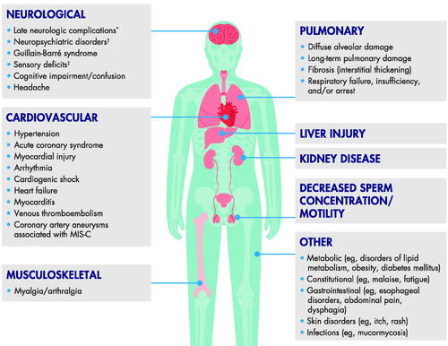 Figure 1. Possible long-term effects of COVID-19 on different body systems.* For example, Parkinson’s disease, multiple sclerosis, Alzheimer’s disease† For example, depression, anxiety, fatigue, PTSD, substance abuse‡ For example, loss of smell/taste