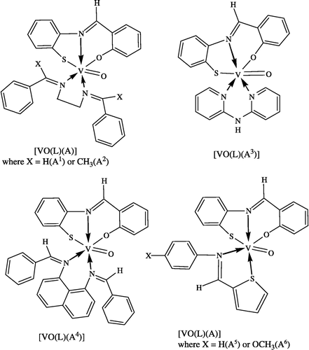 Figure 3 Suggested structure of the oxovanadium(IV) complexes.