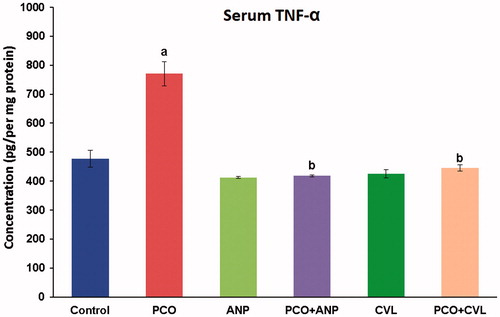 Figure 8. Comparative assessment of serum TNF-α concentration in control and experimental groups of rats. aA significant difference between control and other treated groups at p < 0.05 level. bA significant difference among PCO−, PCO + ANP−, and PCO + CVL-treated groups at p < 0.05 level. CVL, carvedilol; ANP, ANGIPARS™; PCO, polycystic ovary; TNF-α, tumor necrosis factor alpha.