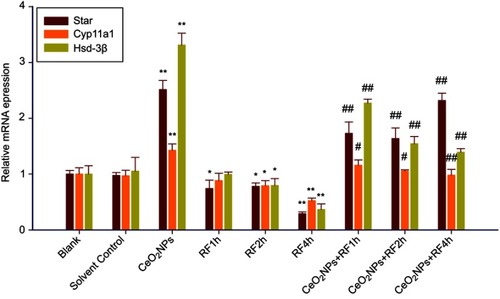 Figure 9 The mRNA expression of testosterone synthase genes (Star, Cyp11a1, Hsd-3β) in Leydig cells treated by CeO2NPs, RF, and CeO2NPs + RF.Notes: Compared with the Solvent Control group, the difference was significant as, *P<0.05, **P<0.01; Compared with the RF group at same exposure time, the difference was significant as, # P<0.05, ## P<0.01.Abbreviations: CeO2NPs, cerium oxide nanoparticles; RF, radiofrequency radiation.