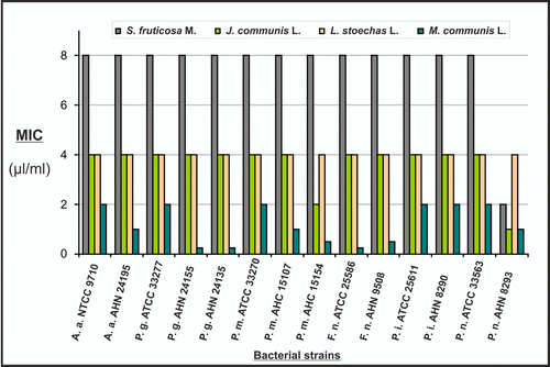 Figure 3.  MIC of the tested essential oils against periodontal bacteria (A.a.: Aggregatibacter actinomycetemcomitans; F.n.: Fusobacterium nucleatum; P.g.: Porphyromonas gingivalis; P.m.: Parvimonas micra; P.i.: Prevotella intermedia; P.n.: Prevotella nigrescens).