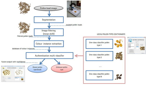 Figure 8. The proposed standard method for detecting unknown pollen loads. The processing chain finishes with an authentication output.