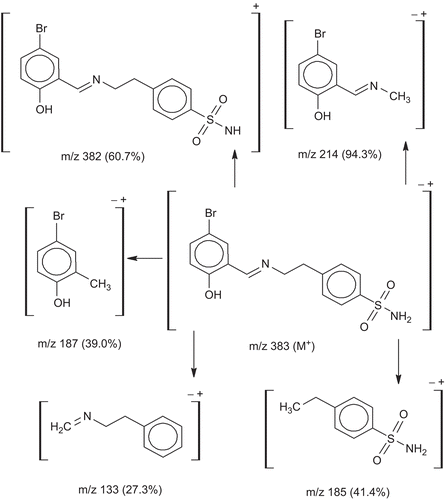 Figure 5.  The proposed fragmentation pattern of ligand (L2).