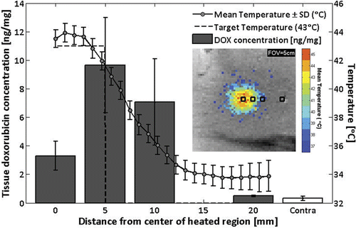 Figure 7. Doxorubicin concentrations measured by fluorescence intensity in tissue samples from rabbit #9, harvested at 0, 5, 10, and 20 mm away from the center of the heated region, as well as from the unheated contralateral thigh (mean ± SD). Overlay: time-averaged temperature profile. Inset: sample positions shown on image of mean temperatures greater than 37°C.