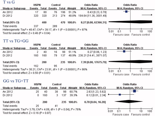 Figure 1. Association of eNOS G894T gene polymorphism on HSPN susceptibility (HSPN vs. Control).