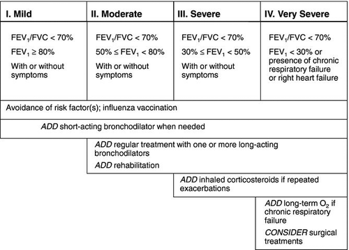 Figure 2.  Pharmacological therapy of COPD by severity classification (stages I – IV). Delivery by nebulizer may be appropriate at any stage according to patient needs and preferences. (Adapted from ATS/ERS41 and GOLD3).
