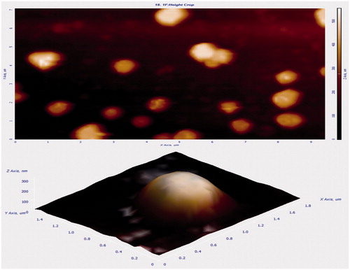 Figure 5. Atomic force microscope (AFM) image of non-targeted DTX-loaded TPGS liposomes (DTX-TPGS) (2D and 3D images).