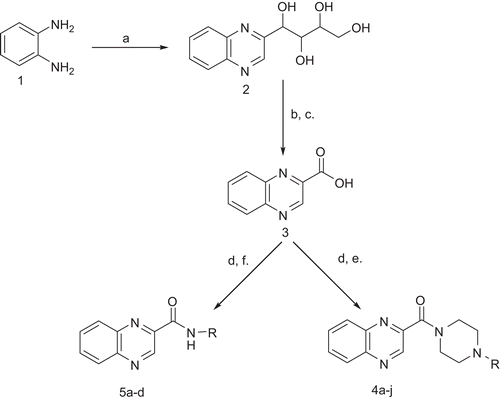 Scheme 1.  Reagents and conditions: (A) D-fructose, 10% aq. AcOH, 80°C, 18 h; (B) NaOH, 30% H2O2, 60°C, 3 h then 90°C, 2 h, (C) Conc. HCl; (D) EDC HCl, HOBt, THF, N2, 0°C–RT, 1 h; (E) piperazine, RT, 5 h; (F) R-NH2, RT, 5 h. THS, tetrahydrofuran