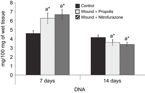 Figure 5.  Effect of Indian propolis on the level of DNA in excision wound model. Values are mean ± SEM; n = 6 in each group. *Significant at p < 0.05 as compared with the control group of rats.
