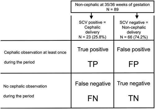 Figure 2. Illustration of the definitions of the terms used in making of prediction model.Focusing on the group showing non-cephalic presentation at 35/36 weeks of gestation (N = 89), we determined the optimal model for prediction of fetal presentation at delivery. In the statistical analysis (shown in Table 4), the terms of “positive” and “negative” were used, respectively, to mean the presence and the absence of cephalic observation at least once at and after a certain gestational week. The term, “true” was given to the two types of subsets, one in which cephalic delivery occurred after cephalic presentation observed at and after a certain gestational week and the other in which non-cephalic delivery occurred without cephalic observation during the same period. The term, “false” was used for the subsets that did not fit the conditions of true subsets.