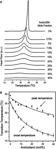 Figure 2.  (A) DSC thermograms of SM/androsterol mixtures containing indicated molar percentages of androsterol at a scanning rate of 0.5°C/min; (B) plots of the peak (•) and onset (▴) temperatures of the DSC endotherms of SM/androsterol as a function of sterol concentration. Mean±SEM are shown for three replicates.
