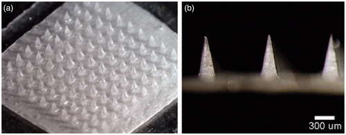 Figure 3. Microneedle patch encapsulating inactivated influenza vaccine. (a) A patch containing a 10 × 10 array of pyramidal microneedle viewed from above. (b) A side view of individual microneedles. Reprinted with permission from Hotez et al. (Citation2016).