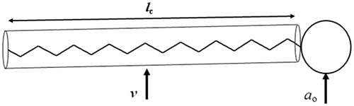 Figure 3. Schematic of a single-chain surfactant, ao = hydrophilic head group area, v = hydrophobic chain volume, lc = hydrophobic chain length.