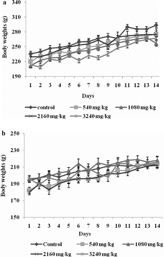 Figure 3.  (a) Changes in body weight of male rats in the acute toxicity study. (b) Changes in body weight of female rats in the acute toxicity study.