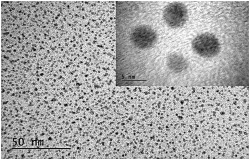 Figure 3. HR-TEM images of CQDs obtained from electrochemical methods. (Reprinted from Ref. [Citation31] Copyright 2016, with permission from Elsevier).