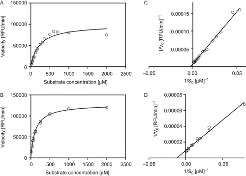 Figure 1.  Michaelis–Menten and Lineweaver–Burk plots of recombinant neuraminidase: (A, C) subtype 1, and (B, D) subtype 3. The concentration of fluorogenic substrate (MUNANA) ranged from 0 µM to 2000 µM. The kinetics were run at 37°C. The fluorescence was recorded every 30 min by using the VictorCitation3 multi-label counter (Perkin Elmer) with excitation and emission wavelengths of 355 and 460 nM, respectively. The reported data were obtained in triplicate experiments.