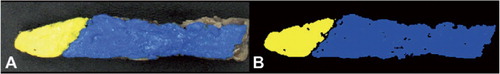 Figure 2. Color segmentation of a cross-sectional slice of a damaged gluteus medius muscle. Panel A is an image of the color-stained slice. Panel B shows the same slice after color segmentation.