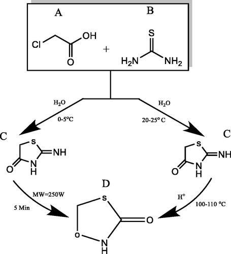 Figure 15. Synthesis of thiazolidine-2,4-dione using thiourea and chloroacetic acid [Citation1].