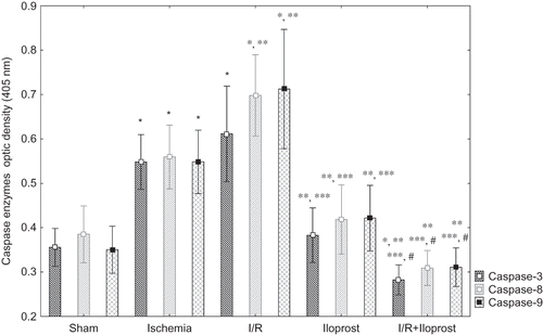 Figure 1. Effects of iloprost on caspases-3, -8, and -9 in kidney as a distant organ. Treatment of iloprost in I/R + iloprost subjects decreased the caspase-3, -8, and -9 enzyme activities as compared with both the ischemia and the I/R groups. Even more, iloprost (10 μg kg–1) treatment in I/R + iloprost subjects decreased the caspase-3 enzyme activity as compared with the sham group. Values are expressed as means ± SEM.Note: p < 0.05 was considered to be significant. *Significantly different from sham, **significantly different from ischemia, ***significantly different from I/R, and #significantly different from iloprost.