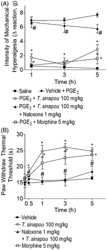 Figure 6. Tephrosia sinapou ethyl acetate extract inhibited PGE2-induced mechanical hyperalgesia and increased the thermal nociceptive threshold of naïve mice in the hot-plate test by an opioid-dependent mechanism. Panel A: mice were treated with T. sinapou (100 mg/kg, i.p.), morphine (5 mg/kg, i.p.) or vehicle. Another group was treated with naloxone (1 mg/kg, s.c., 1 h) before T. sinapou (100 mg/kg, i.p.). After additional 30 min, mice received PGE2 injection (100 ng/paw). The intensity of mechanical hyperalgesia was measured 1–5 h after PGE2 injection by the electronic pressure-meter test. Panel B: mice were treated with T. sinapou (100 mg/kg, i.p.), morphine (5 mg/kg, i.p.) or vehicle. Another group was treated with naloxone (1 mg/kg, s.c., 1 h) before T. sinapou (100 mg/kg, i.p.). The intensity of thermal hyperalgesia was measured 0.5–5 h after treatment using a hot plate. Results are presented as means ± SEM of experiments performed with five mice per group and are representative of two separated experiments. *p < 0.05 compared to the PGE2 + vehicle group (Panel A) or vehicle group (Panel B), #p < 0.05 compared to the T. sinapou group (one-way ANOVA followed by Tukey’s test).