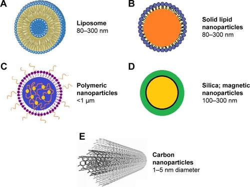 Figure 2 Nanostructured drug delivery systems modified.Notes: (A) Liposome. (B) Solid lipid nanporticles. (C) Polymeric nanoparticles. (D) Silica; magnetic nanoparticles. (E) Carbon nanoparticles.