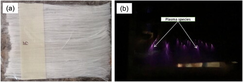 Figure 2. This research’s material and plasma treatment: (a) ramie fibers and (b) plasma treatment process.