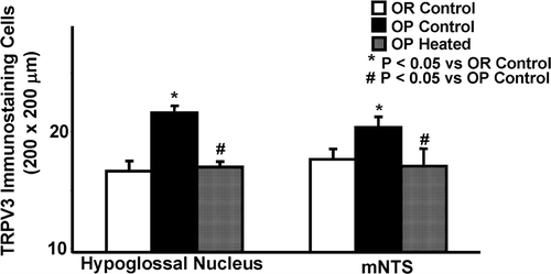 Figure 4. Quantitation of TRPV3 immunoreactivity in the hypoglossal nucleus and medial nucleus tractus solitarius (mNTS) in infrared heat-treated OP rats compared with OP control and OR control rats. TRPV3 immunostaining cells in the hypoglossal nucleus (left side) are significantly reduced in heat-treated OP rats and OR control rats, in comparison to OP control rats. In the mNTS (right side), OP heated and OR rats also displayed significantly lowered positive staining neuron counts, but the absolute difference was less. Each bar represents the mean values and the vertical lines represent SEM (n = 5–7). *P < 0.05 (analysis of variance), compared with OR control; #P < 0.05 compared with OP control.