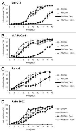 Figure 2. Proliferation of pancreatic cancer cell lines upon treatment with gemcitabine and/or MK2 inhibitor. BxPC-3 (A), MIA PaCa-2 (B), Panc-1 (C), and PaTu 8902 (D) cells were treated with 100 nM gemcitabine and MK2 inhibitor or DMSO for 24 h on day 1. Then the drugs were washed out, and cell confluence was quantified by light microscopy and digital image analysis until day 18.