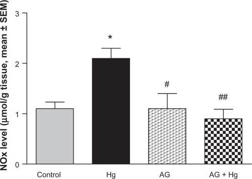 Figure 5 Effect of Hg, AG, and their combination on total NOx levels in rat renal tissues.