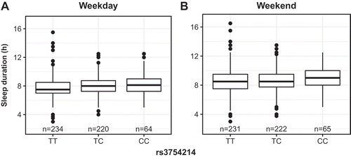 Figure 5. (a) Weekend sleep duration and (b) weekday sleep duration by alleles of variant rs3754214 in the sleep cohort with extant genotyping (n = 555), significant in an ordinal regression procedure.