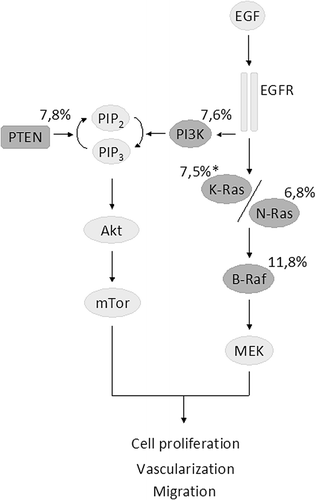 Figure 6. The EGFR-related pathways with genes of interest highlighted in gray. The mean mutation frequencies in KRAS exon 2 wild-type primary tumors from the 22 studies included are shown (*refers to mutations found in exons 3 and 4).