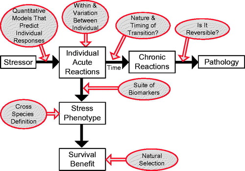 Figure 2. Key components of a stress response (in squares) with the major unresolved questions concerning those components (circles). See text for further details.