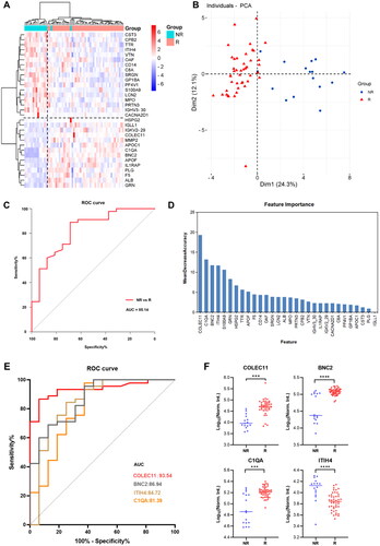 Figure 4. Proteomic analysis predicts differential response to topical sequential therapy. (A) Classification of responder and non-responder group based on 30 DEPs (p.adjust < 0.05) and unbiased clustering analysis. (B) Principal component analysis plot shows unsupervised clustering among the 65 samples, demonstrating a distinction between responder and non-responder groups to topical sequential therapy. (C) Discrimination of psoriasis patients’ response to treatment by the DEPs using ROC curve analysis. (D) Ranking of the 30 proteins’ importance. (E) The AUC curves of the top 4 proteins (COLEC11, BNC2, ITIH4, C1QA) were 0.9354, 0.8694, 0.8472, and 0.8139, respectively. (F) Box plot analysis of COLEC11, BNC2, ITIH4 and C1QA in responder and non-responder group at baseline. The statistical analysis was performed using a Mann-Whitney U test with a p-value ≤ 0.05. *, ** and *** represent the p-value less than 0.05, 0.005 and 0.0005, respectively.