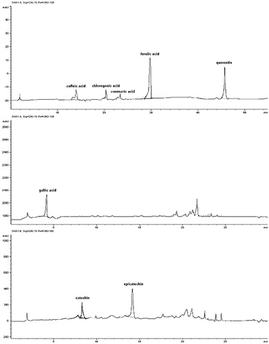 Figure 2. HPLC/DAD R. nigrum bud-preparation polyphenolic profile.