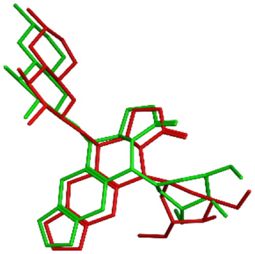 Figure 13. 3D representation of the overlay of re-docked ligand (green) to the co-crystallized ligand EVP (red) (RMSD =1.06 Å).