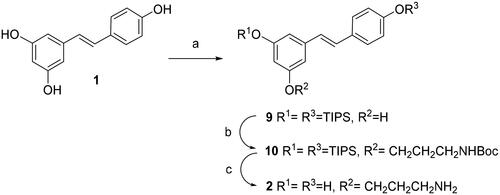 Scheme 1. Synthesis of compound 2. Reagents and conditions: (a) TIPS chloride (2.0 equiv), DIPEA (2.0 equiv), DMAP (2.0 equiv), DMF, -15° C for 10 min, then rt for 16 h; (b) ICH2CH2CH2NHBoc, K2CO3, DMF; (c)TFA, THF-H2O.